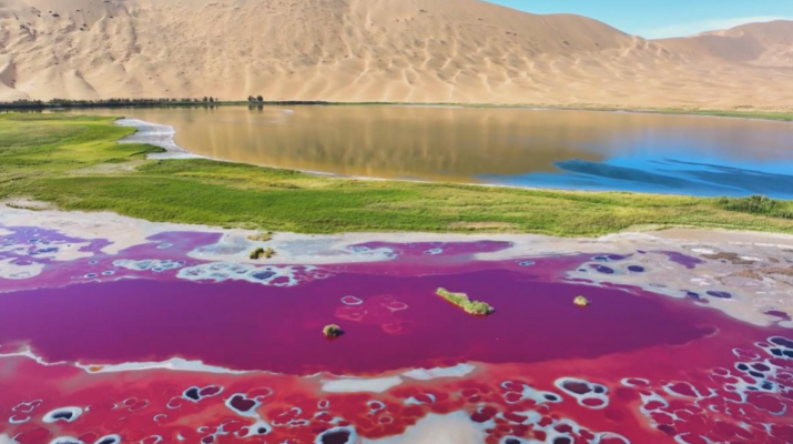 202505211747791493140059.png 微信图片_20250521093707.png