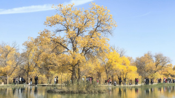 202510101760057136376097.png 图片3.png