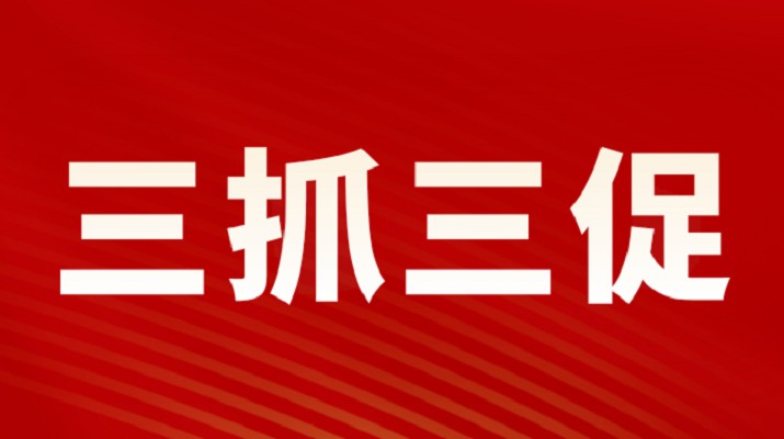 三抓三促进行时丨乐动平台app官网_乐动（中国）集团召开重点项目调度会