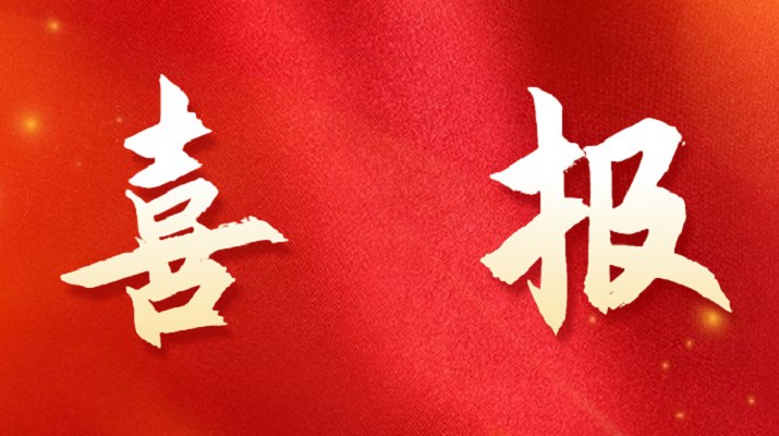 乐动平台app官网_乐动（中国）集团喜获税务部门表彰