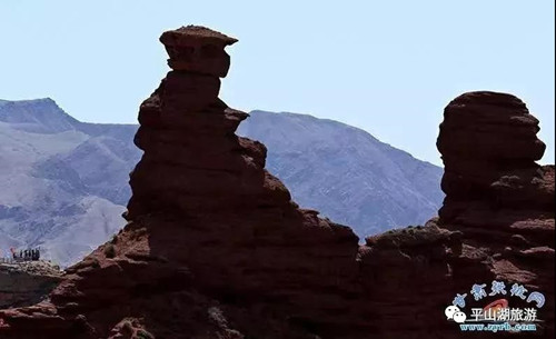 神龟问寿_副本.jpg 神龟问寿_副本.jpg